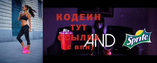 МДПВ Медногорск